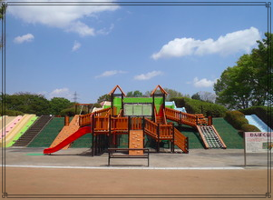 小金井公園は子供と遊べるアスレッチックはある?地元人ならではのおすすめ施設!