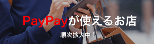 お ペイペイ が 店 使える